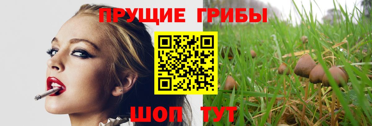 Галлюциногенные грибы GOLDEN TEACHER  что такое   Орск  Вход с VPN 